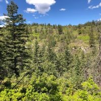 San Isabel National Forest Camp