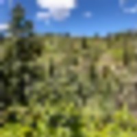 San Isabel National Forest Camp images 1