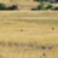 Pounds Ranch