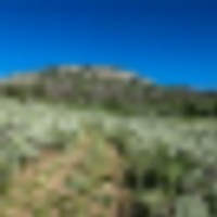 Tomichi Dome Hunting Ranch