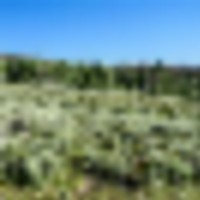 Tomichi Dome Hunting Ranch images 2