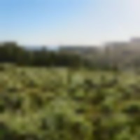 Tomichi Dome Hunting Ranch images 3