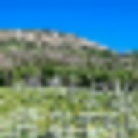 Tomichi Dome Hunting Ranch images 4