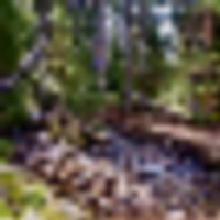 Brumley Aspen Waters Ranch images 2