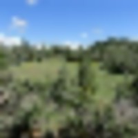 Sivers Ranch