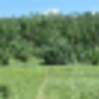 Sivers Ranch images 2