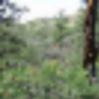 Sivers Ranch images 5