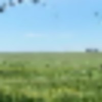 Li Cattle Ranch images 2