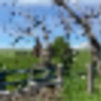 Li Cattle Ranch images 3