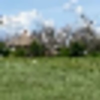 Li Cattle Ranch images 5