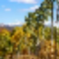 Stevens Gulch Ranch