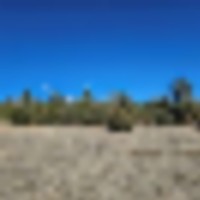 4 Delagua Canyon images 2