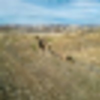 Moffat County - 115 images 3