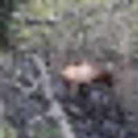 Doc Utterback Ranch images 2