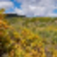 Doc Utterback Ranch images 4
