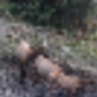 Doc Utterback Ranch images 5