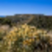 Papoulis Canyon Ranch images 3