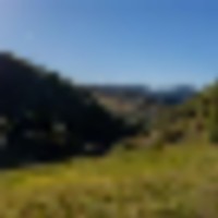 Papoulis Canyon Ranch images 4