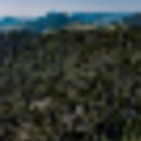 Saddle Mountain Ranch Guffey Colorado images 5