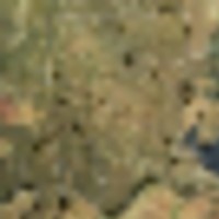 8aaf156d-97ac-460a-8ef0-653006cf997e__resize-thumb