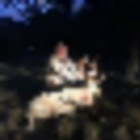 8d493d17-2fa2-4464-8fe7-f3a2a2bf33ff__resize-thumb