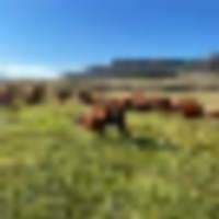 Cochetopa Dome Ranch images 2