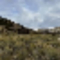 Joy Ranch