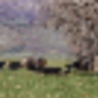 Top of the World Ranch images 4