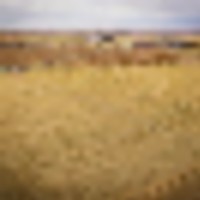 Hillrose Farm and Equine Ranch images 5