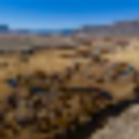 North Fork River Ranch images 1