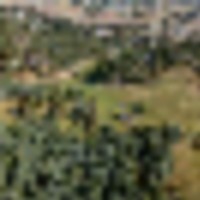 Golden Summit Collection images 4