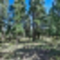 Home For Auction In Florissant Colorado