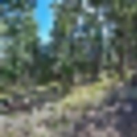 Home For Auction In Florissant Colorado images 2