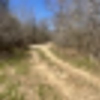 921b5300-e608-4a3b-a0fe-825c018402be__resize-thumb