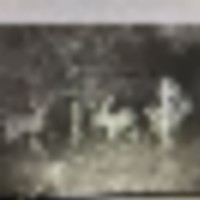 923fc839-3806-4245-ae06-bb20d20b3a79__resize-thumb