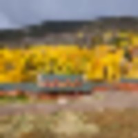 Waunita Park Ranch images 3