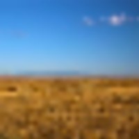 BX Ranch images 1