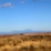 BX Ranch images 5