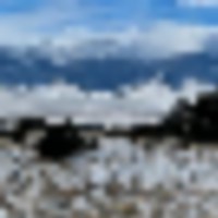 Harold G. Vickerman Ranch images 1