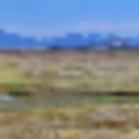 The Preserve at Arrowhead Ranch images 4