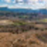 Colorado Land with Year-Round Forest Access images 1