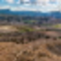 Colorado Land with Year-Round Forest Access images 2