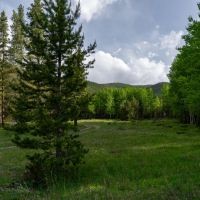 Tolland Ranch