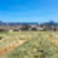 Phillips Creek Yampa Ranch images 3