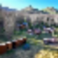 Carson Ghost Town Ranch