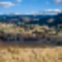 Diamond M Bar Ranch