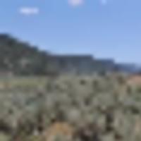 Rifle Colorado Mountain 120 Acres for Sale images 3