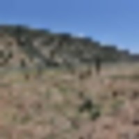 Rifle Colorado Mountain 120 Acres for Sale images 5