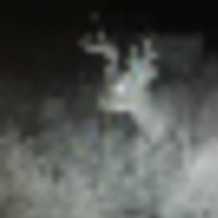 962642BB-3059-44FD-90A4-E02E26846CCF__resize-thumb