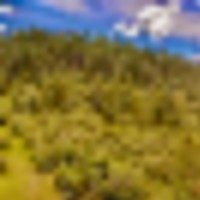 Pine Spring Ranch Splendor images 2